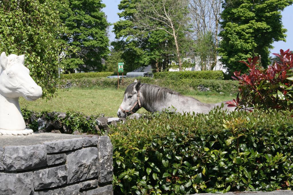 Carrowntober House B & B Oughterard Exterior foto